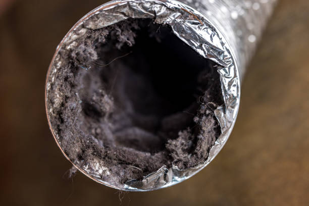 Best Air Vent Cleaning Services  in Nellysford, VA